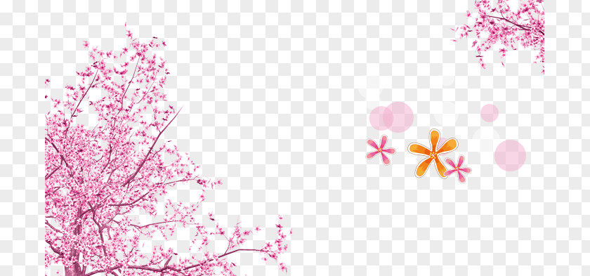 Cherry Blossoms Pink Blossom Wallpaper PNG