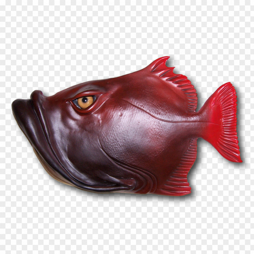 Fish Body Billy Jack .com Lip Human Mouth PNG
