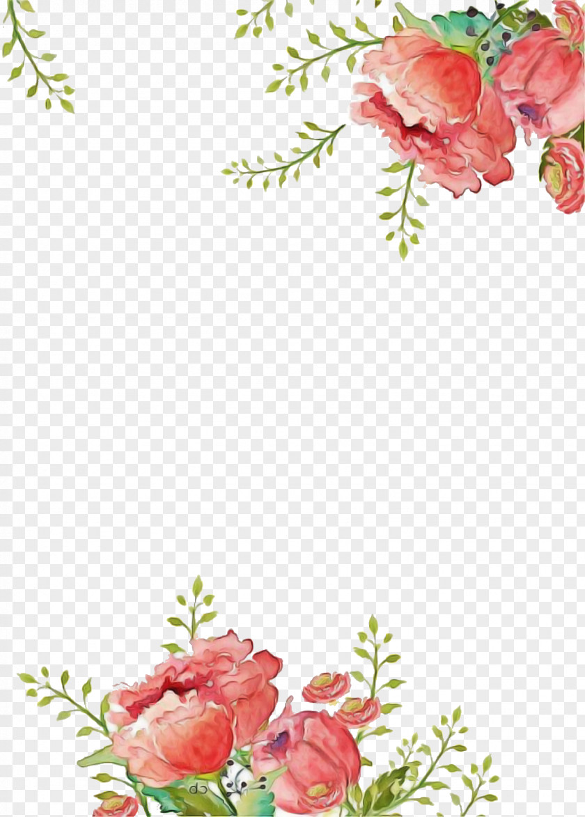 Plant Pink Flowers Bouquet PNG