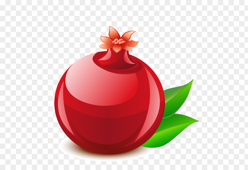 Pomegranate Qaida Urdu Alphabet Hindi PNG