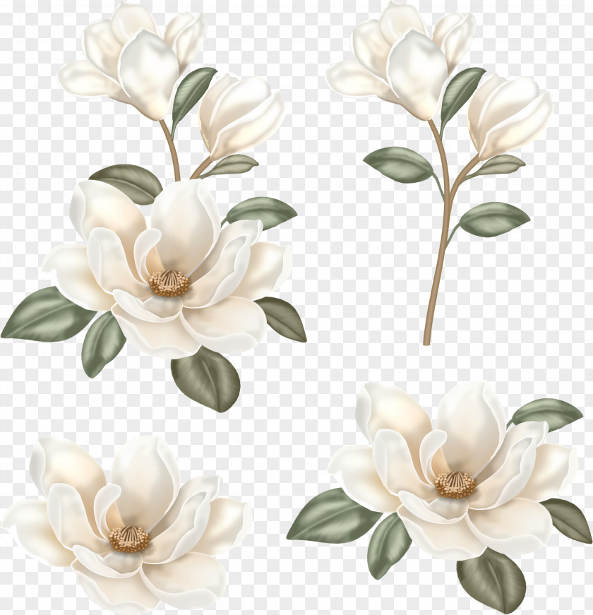 Boho Flowers Flower Floral Design Clip Art PNG