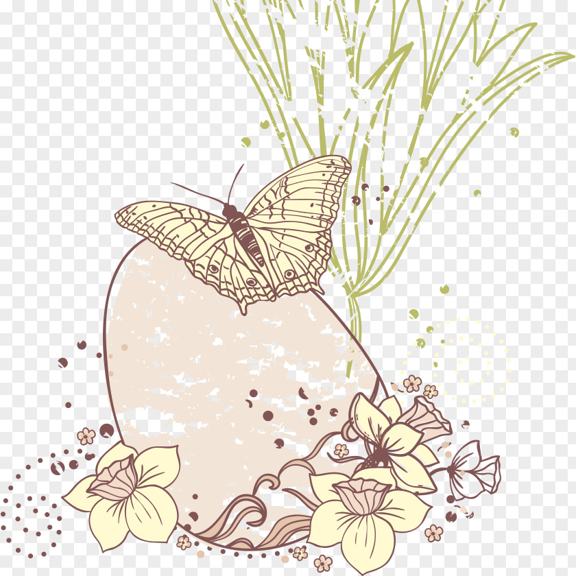 Butterfly Vector Egg On Nymphalidae PNG