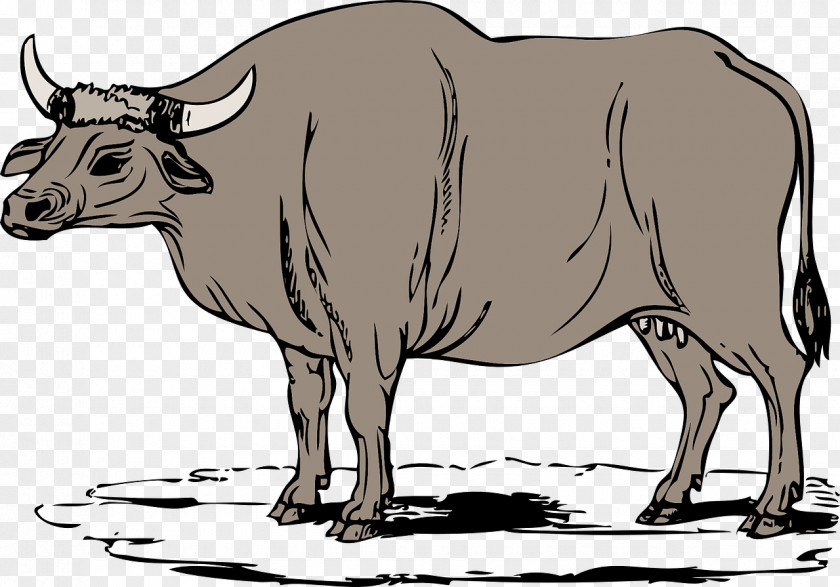 Cow Man Cattle Water Buffalo Ox Clip Art PNG
