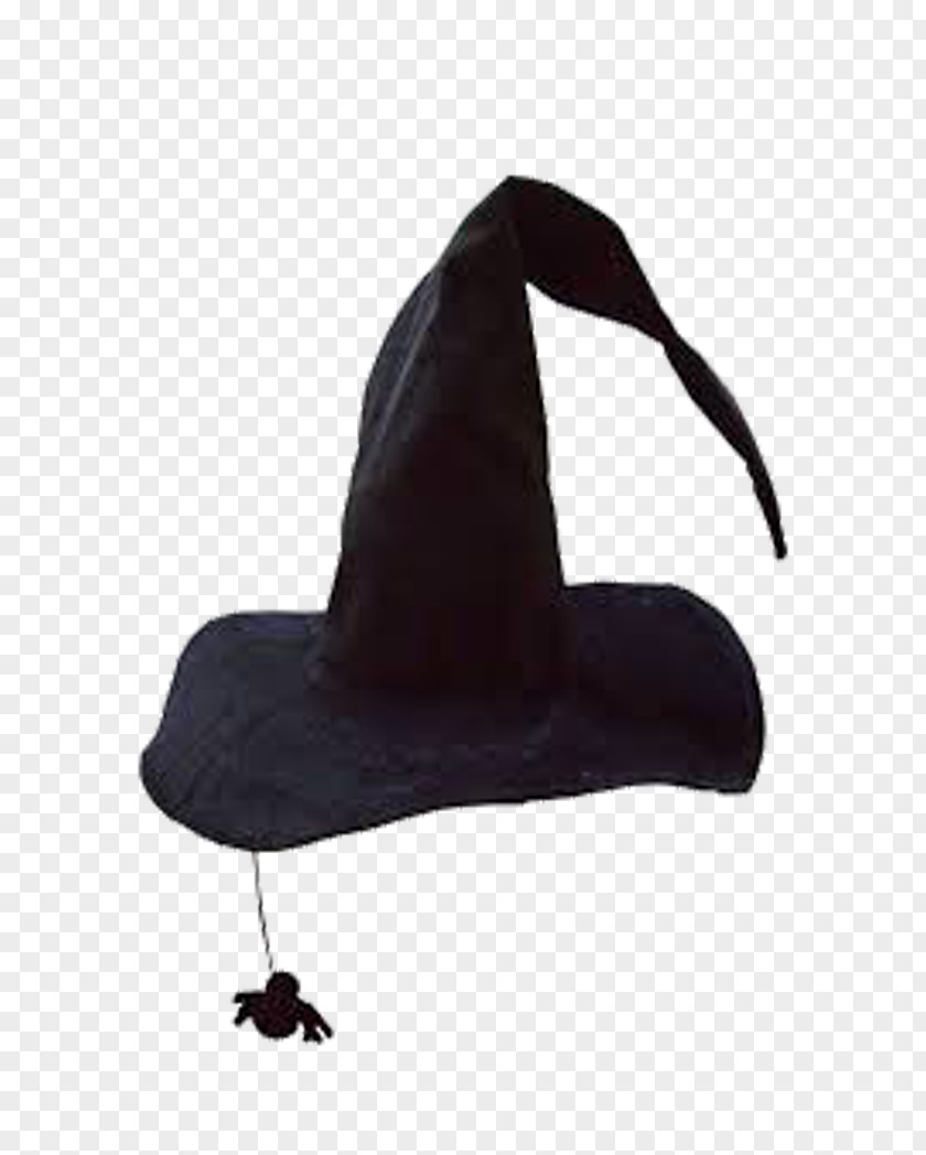 Curved Black Witch Hat Boszorkxe1ny Witchcraft PNG