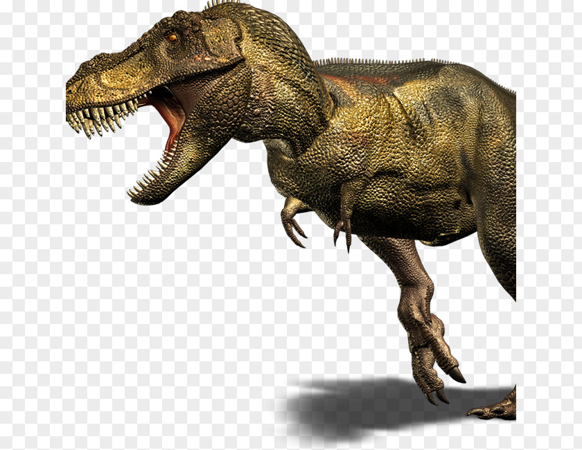Dinosaur Giganotosaurus Velociraptor Late Cretaceous Carnotaurus Spinosaurus PNG