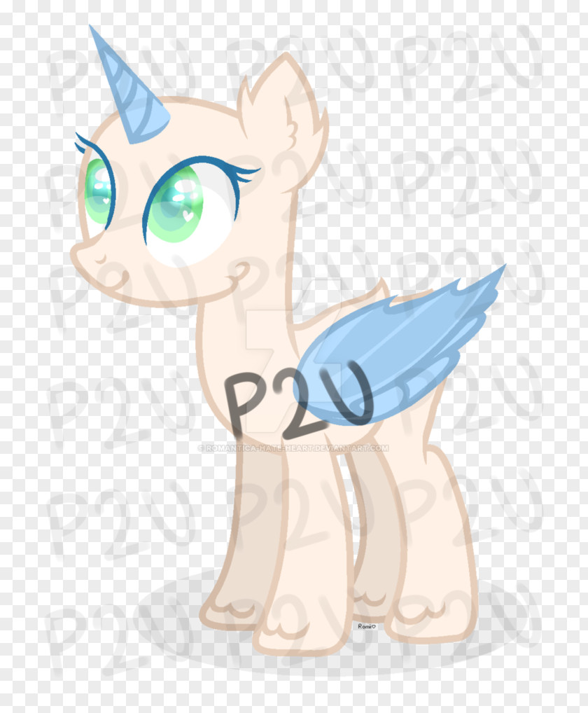 Kitten Whiskers Pony Cat PNG