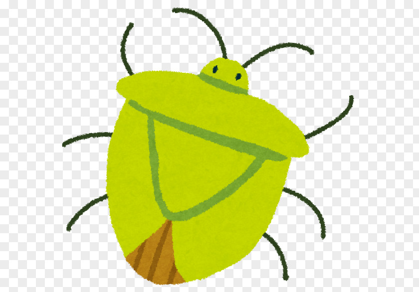 Light Pentatomoidea Clip Art Illustration True Bugs PNG