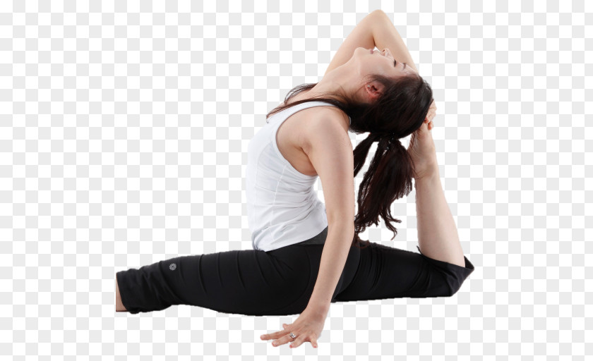 Yoga Stretching Exercise Therapy Flexibility PNG