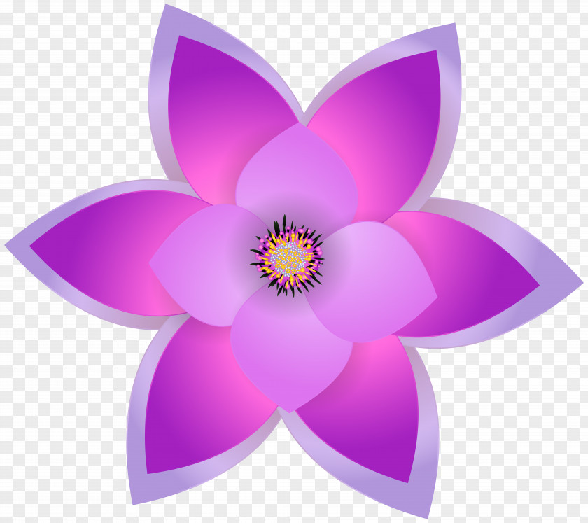Decorative Flower Transparent Clip Art Image File Formats Lossless Compression PNG