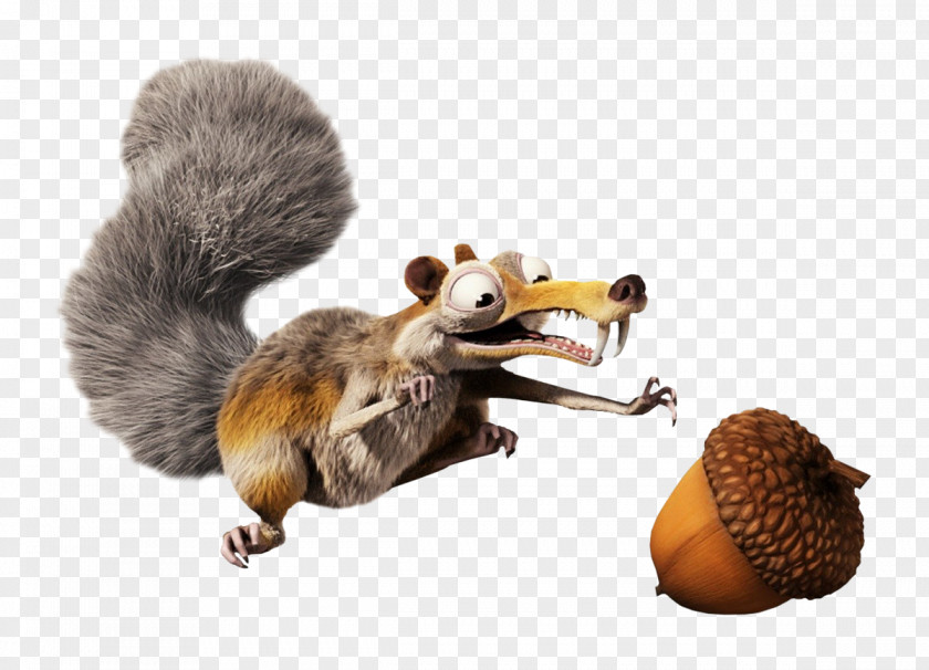 Squirrel Ice Age 2: The Meltdown Scrat Sid PNG