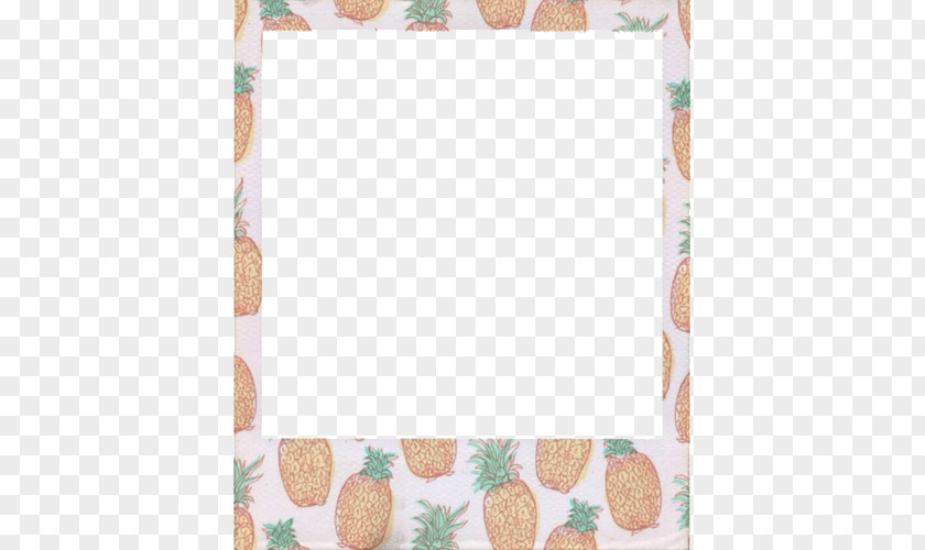 Pineapple Picture Frames Photography Instant Camera Image PNG