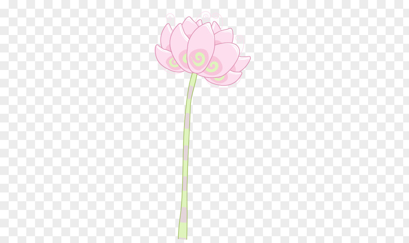 Pink Lotus Model Flowering Plant Cut Flowers Stem Petal PNG