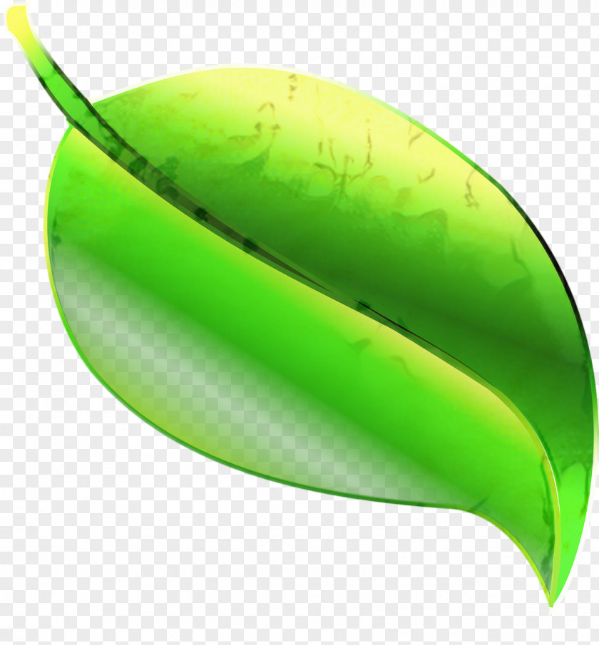 Plant Leaf Green Background PNG