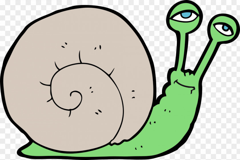 Snail Clip Art Slug Drawing Line PNG