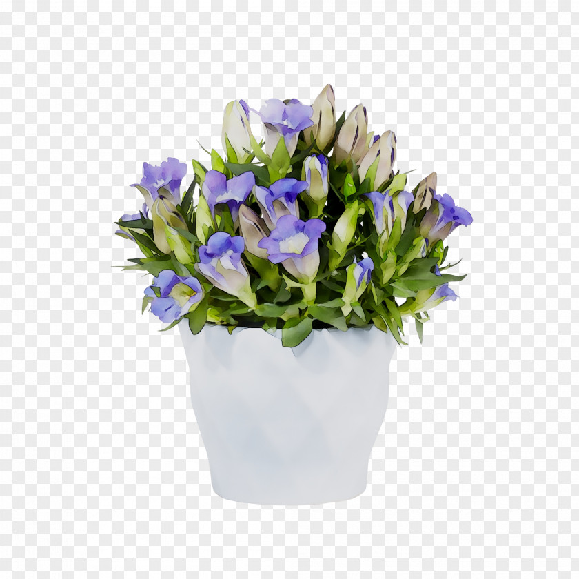 Bellflower Cut Flowers Floral Design Flower Bouquet PNG