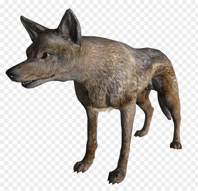 Fallout Fallout: New Vegas Coyote 2 Wasteland 4 PNG
