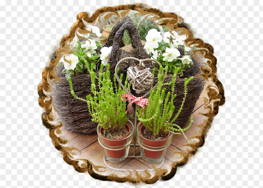 Viburnum Tinus Flowerpot PNG
