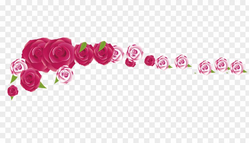 A Row Of Roses Beach Rose Flower Red PNG