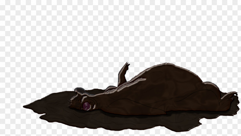 Baloo Streamer Shoe PNG