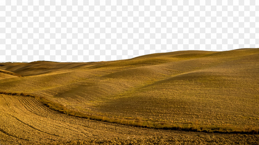 Ecoregion Landscape Soil /m/083vt Hill PNG