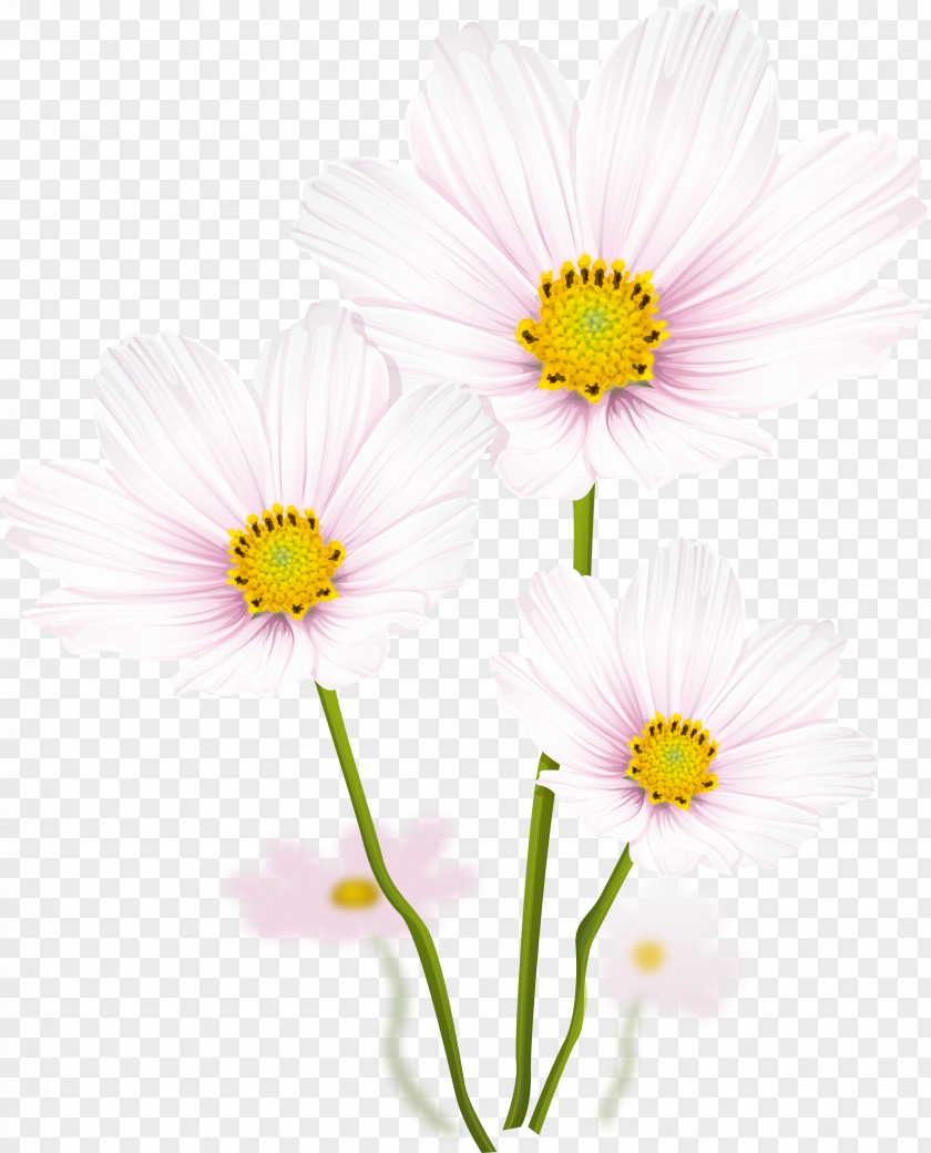 Flower Graphic Design Clip Art PNG