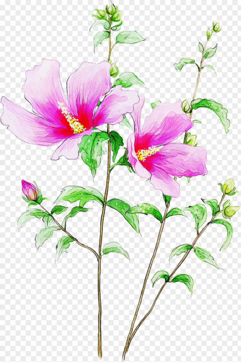 Flower Plant Petal Watercolor Paint Pink PNG
