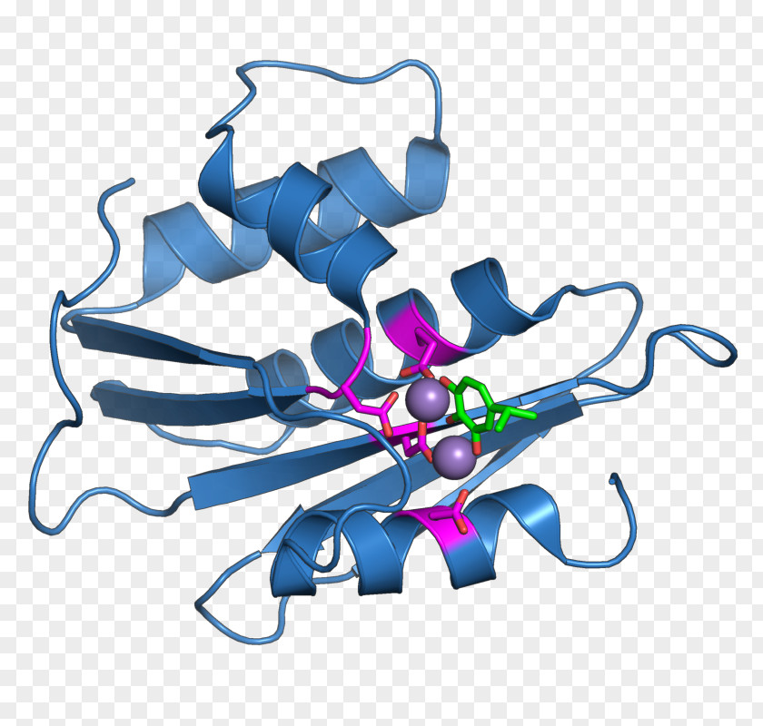 Retroviral Ribonuclease H Reverse Transcriptase Endoribonuclease PNG