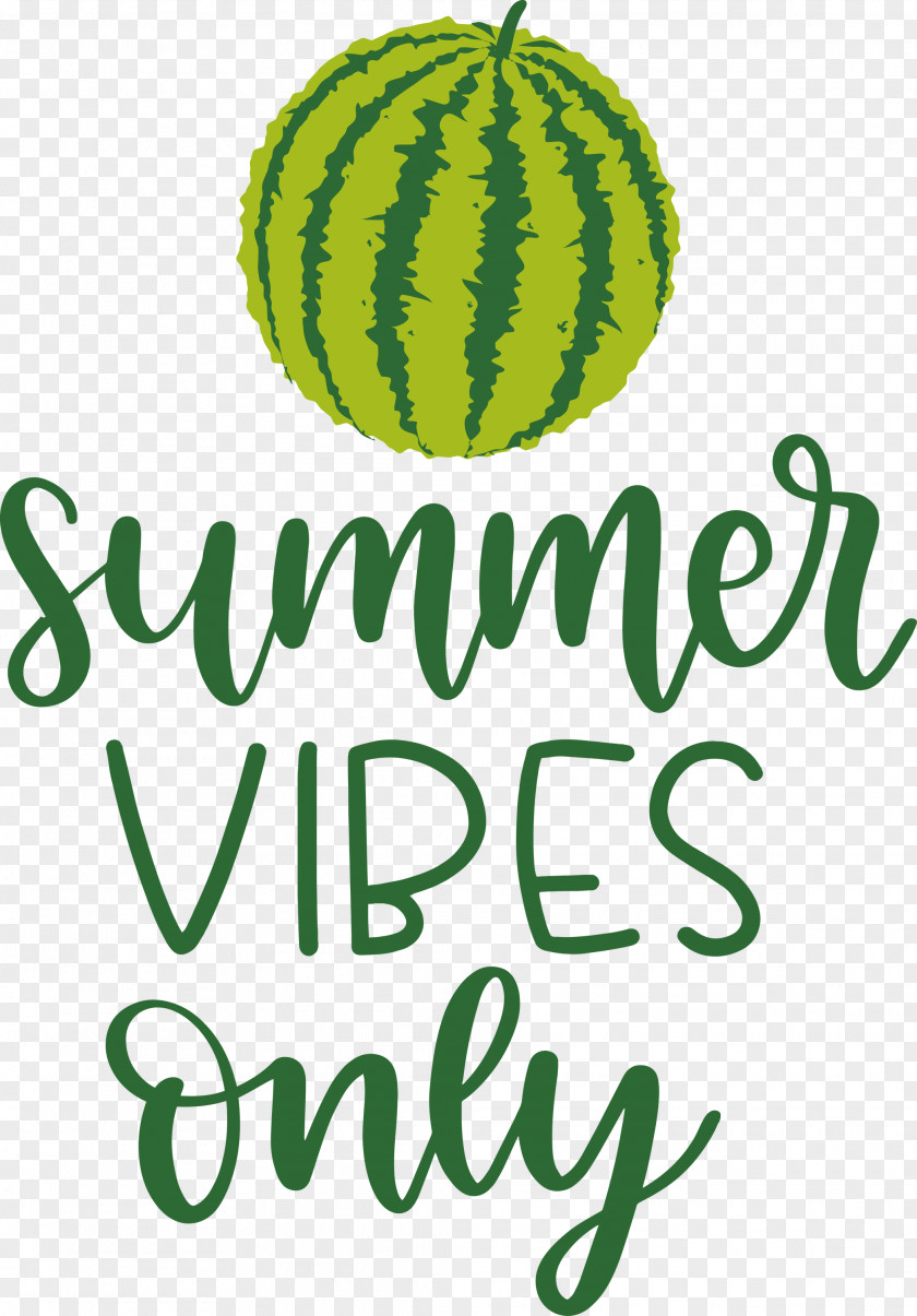 Summer Vibes Only PNG