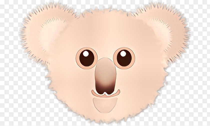 Whiskers Snout Marsupial Cartoon PNG