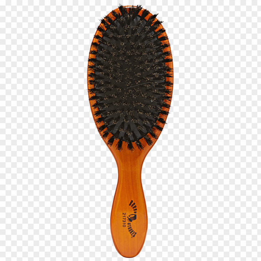 Boar Wild Comb Hairbrush Bristle PNG