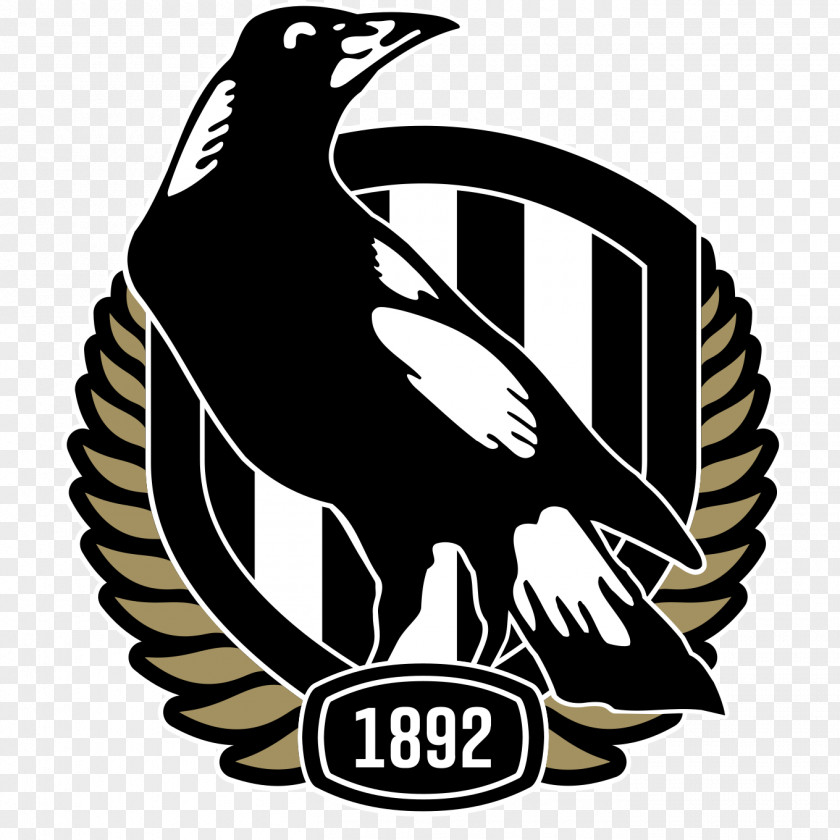 Collingwood Football Club Australian League AFL Women's Geelong Greater Western Sydney Giants PNG