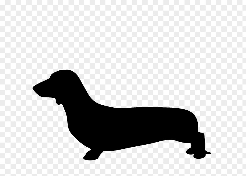 Dachshund Cartoon Dogs Puppy Labrador Retriever Dog Breed Hot PNG