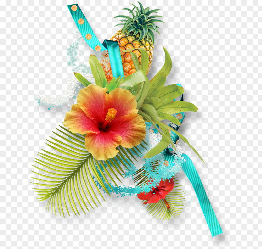 Flower Tropical Cut Flowers Tropics Plant PNG