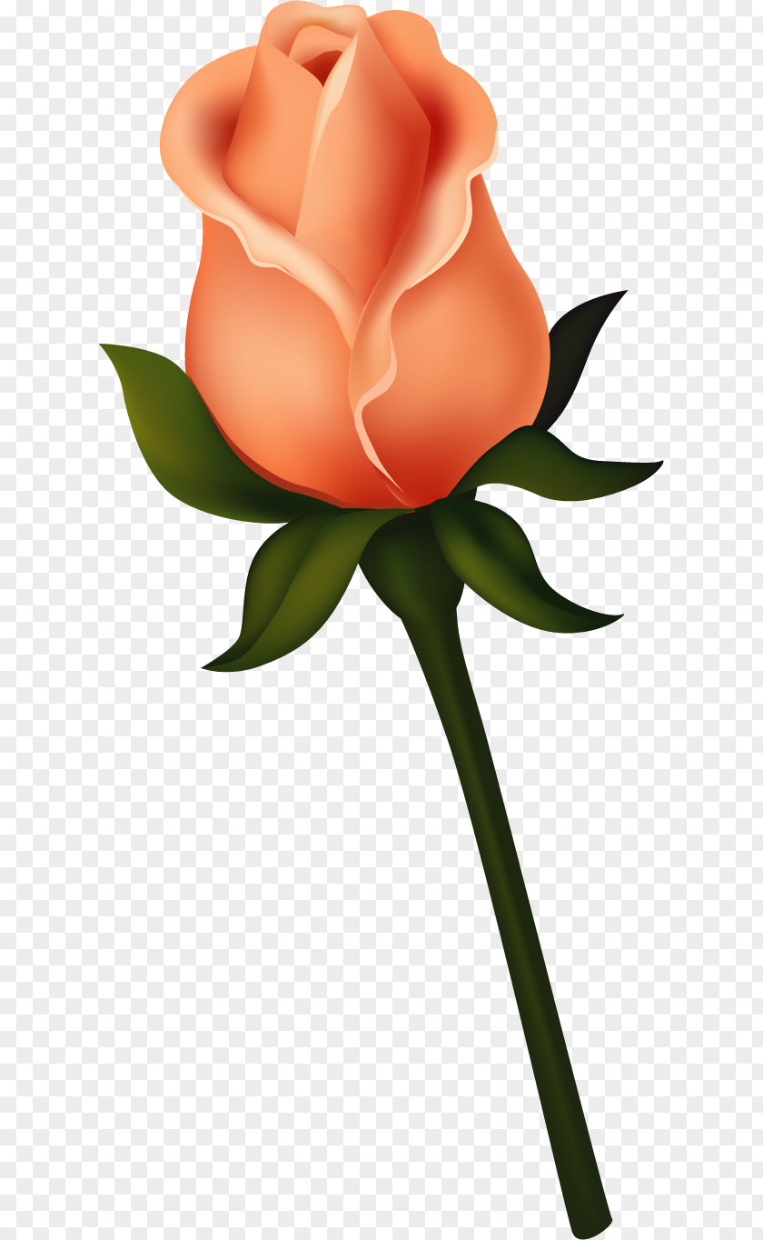 Rose Black Bud Clip Art PNG