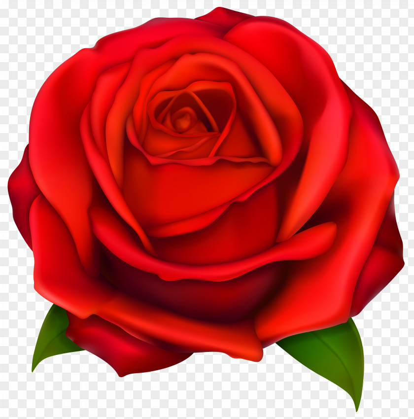 Rose Clip Art Black Red PNG