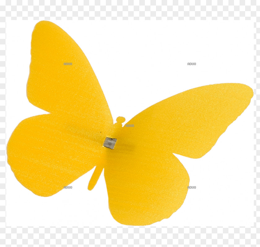 Skalar Moth Product Design M. Butterfly PNG
