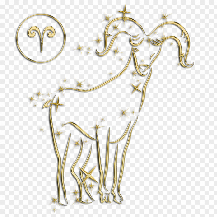 Zodiac Astrological Sign Astrology PNG