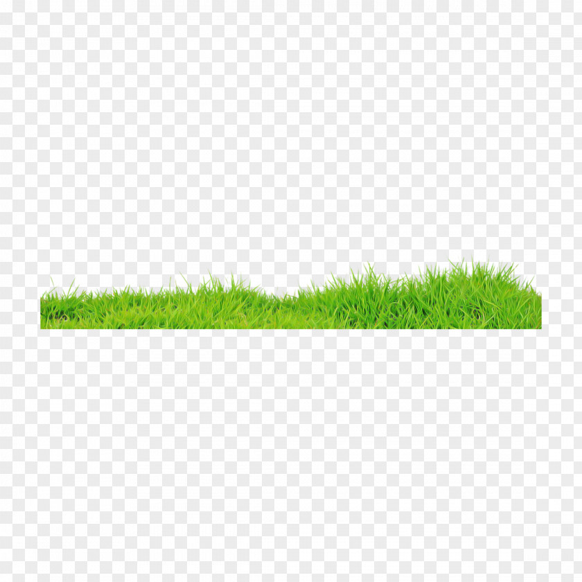 Artificial Turf Rectangle Green Grass Lawn Plant Family PNG