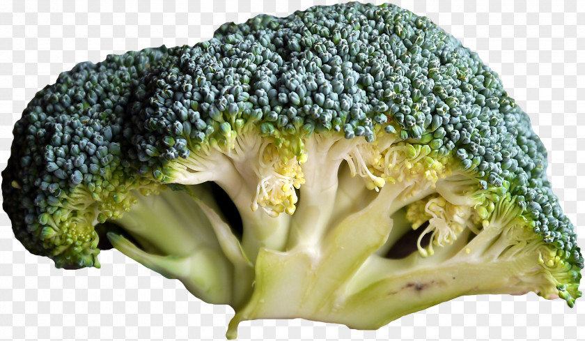 Broccoli Organic Food Vegetable Fruit PNG
