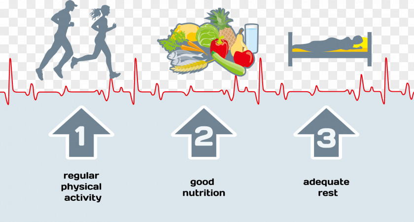 Diet And Health Of Human Motion Healthy Lifestyle Clip Art PNG