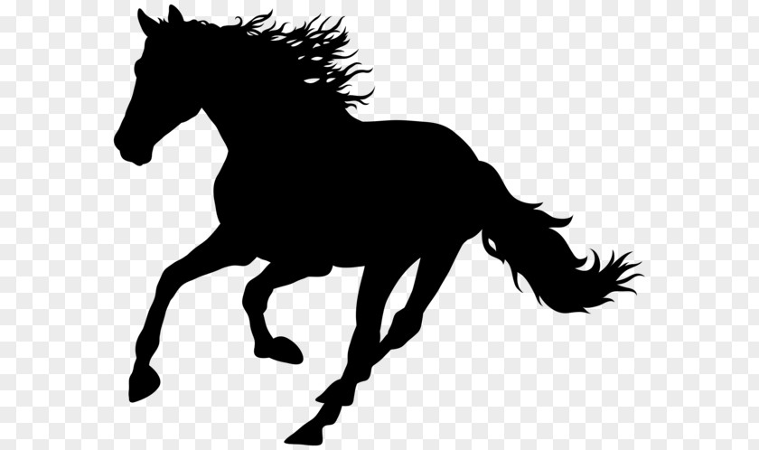 Horse Royalty-free Clip Art PNG