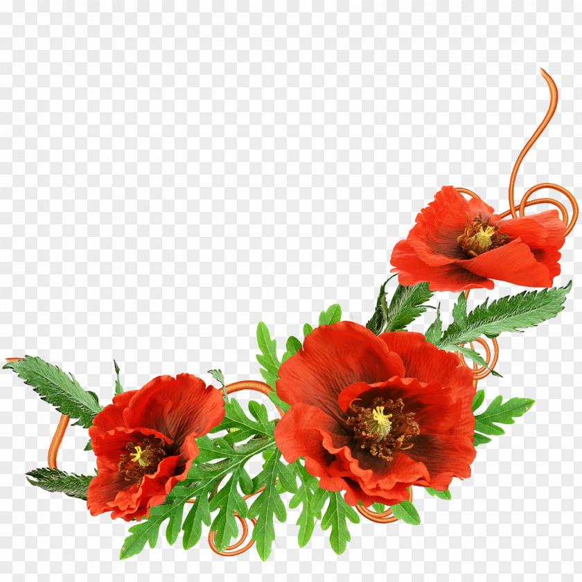 Red Floral Decoration Pattern Picture Frame Photography PNG