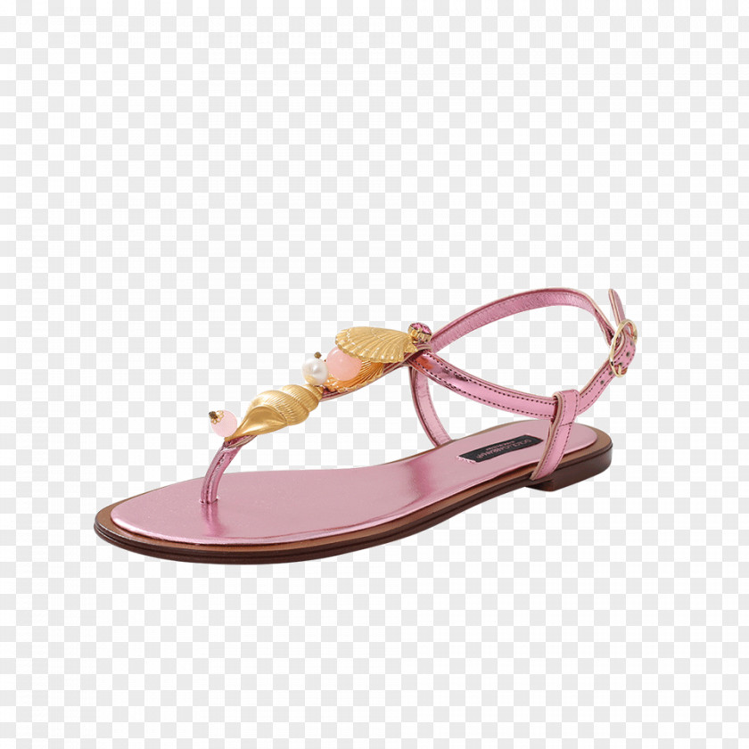 Dolce & Gabbana Sandal Footwear Shoe Flip-flops & PNG