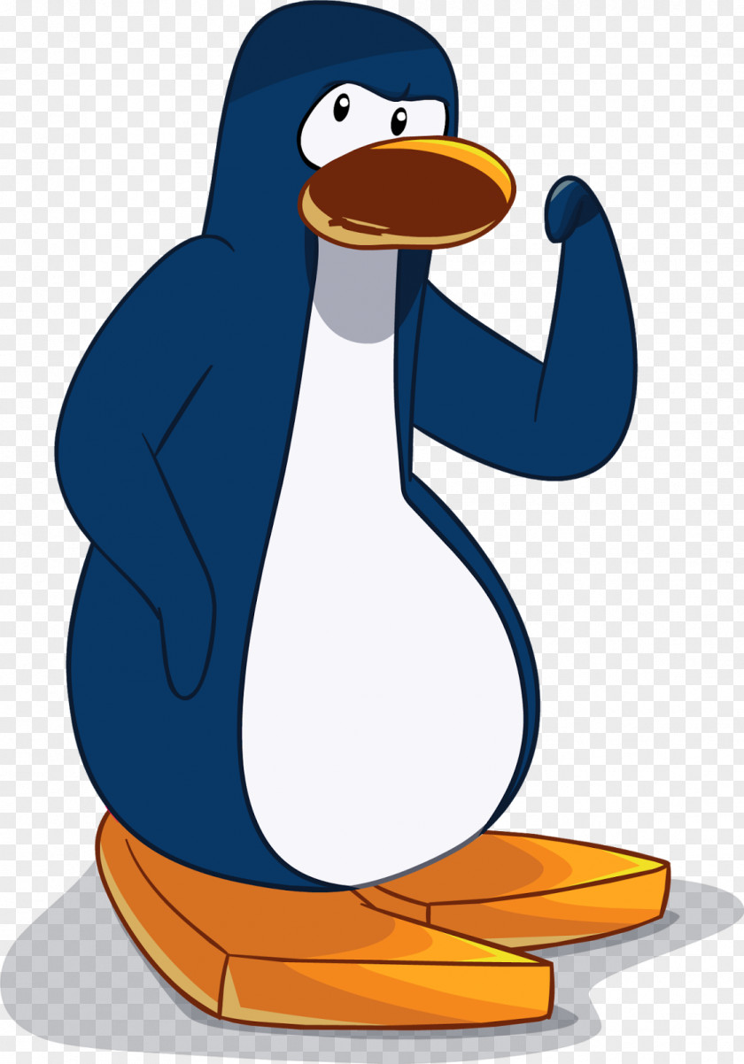 Penguin Club Flightless Bird Little PNG