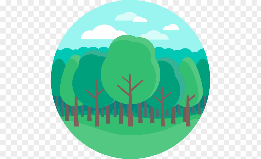 Tree Icon Design PNG