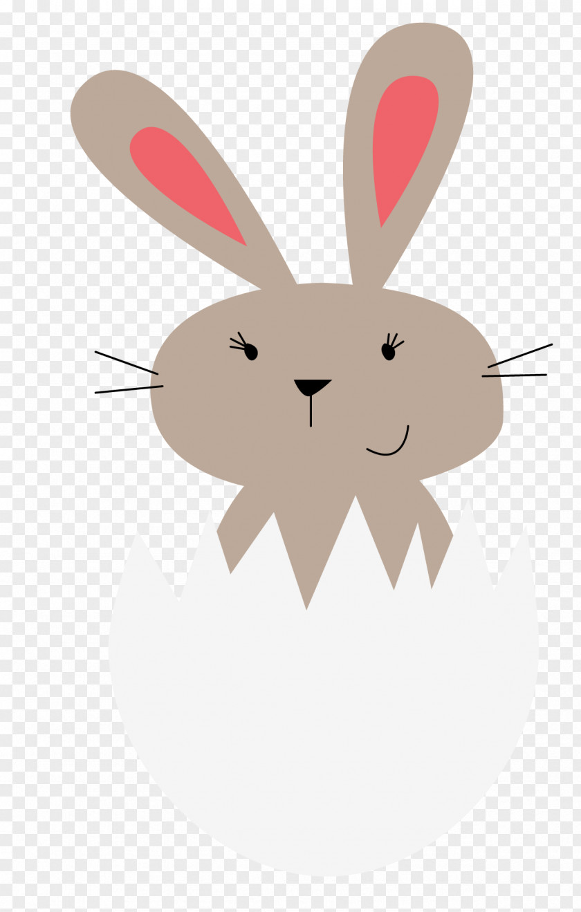 Happy Passover Text Domestic Rabbit Easter Bunny Hare EO ISTX 50 DLY.LEV.NR USD PNG