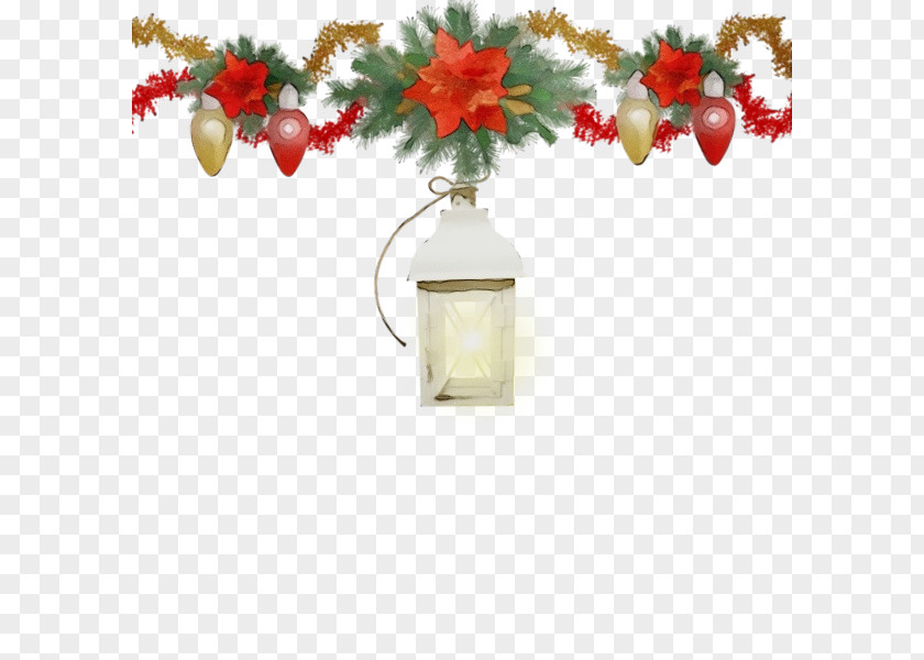Holly Cut Flowers PNG