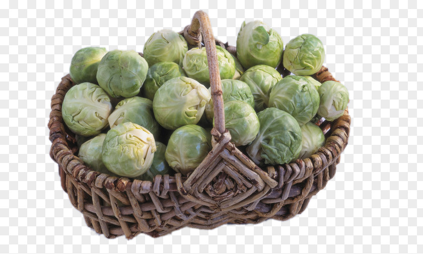 Basket Cabbage Brussels Sprout Cruciferous Vegetables PNG