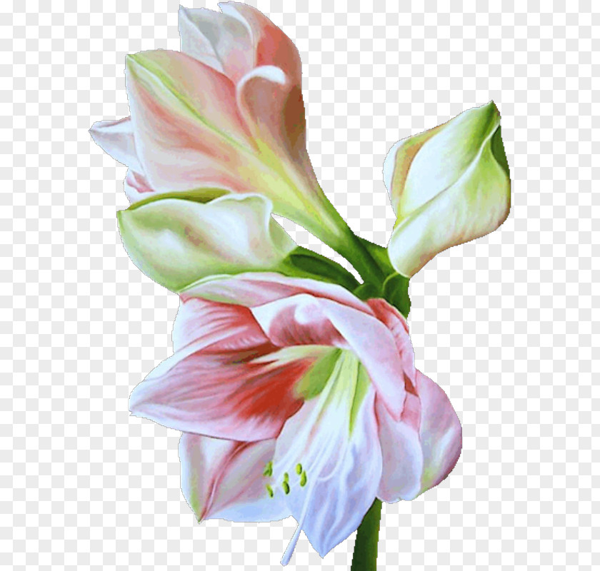 Flower .de Art Floral Design PNG