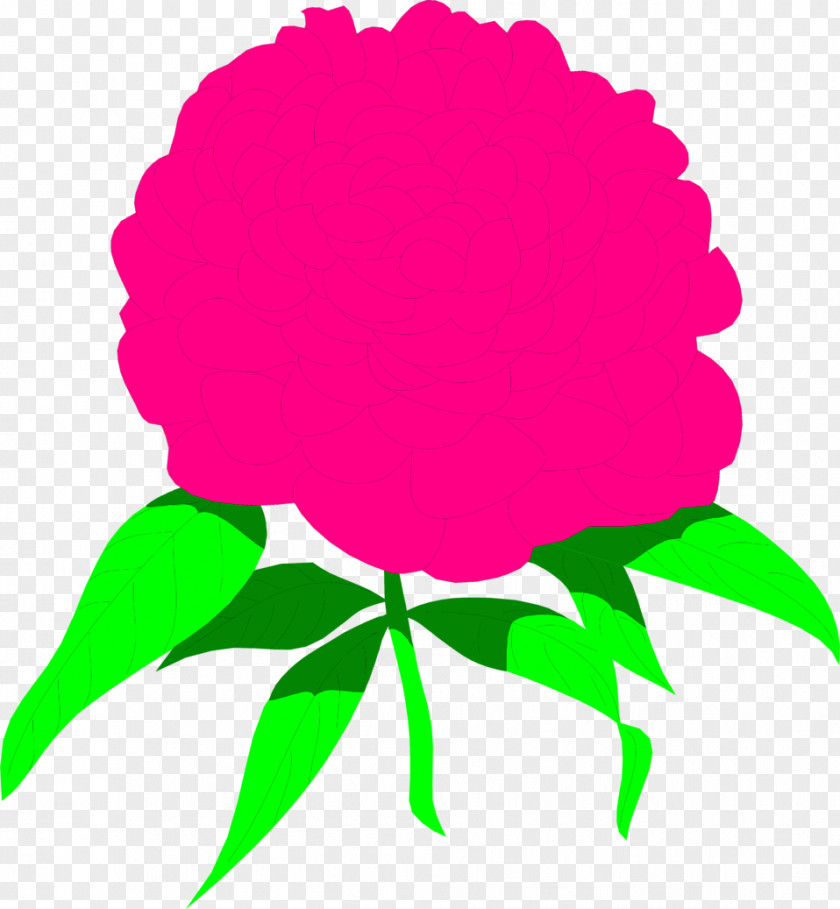 Peony Cliparts Free Watercolor Painting Pink Flowers Drawing Clip Art PNG